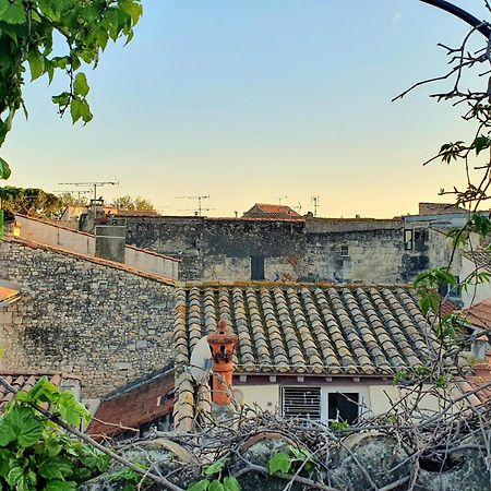 La Confidentielle Centre Ville Arles Terrasse 외부 사진