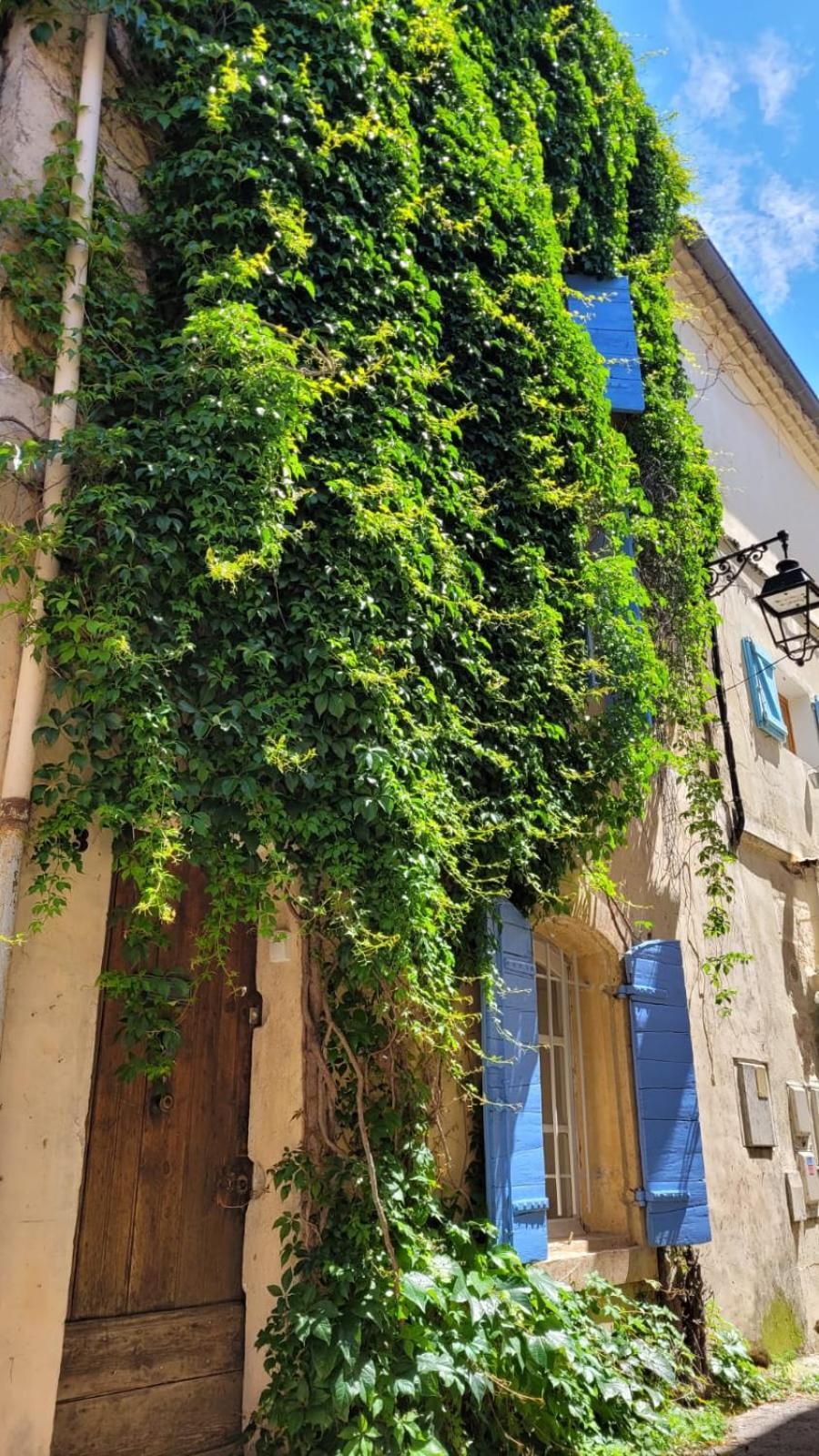 La Confidentielle Centre Ville Arles Terrasse 외부 사진