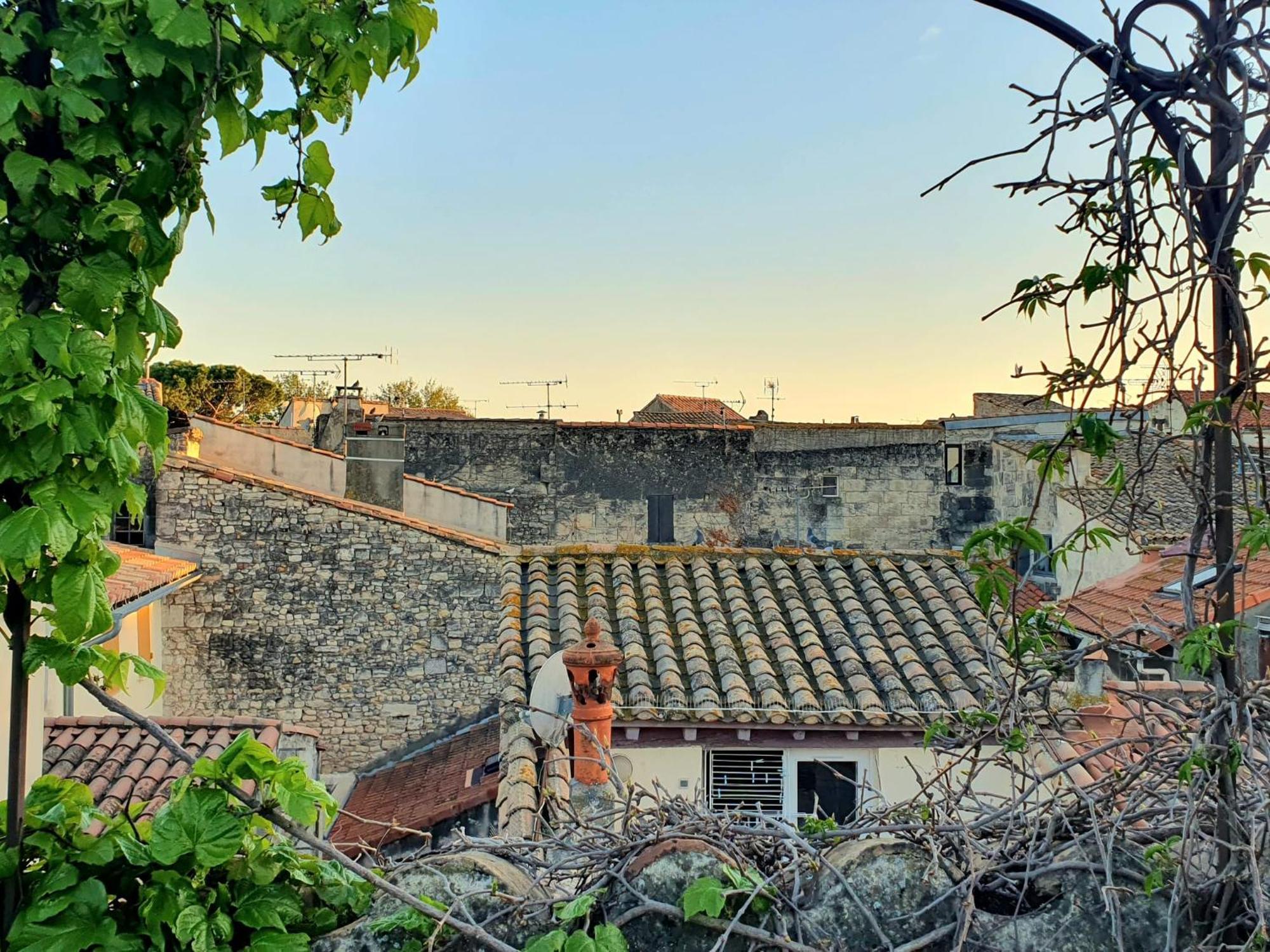 La Confidentielle Centre Ville Arles Terrasse 외부 사진